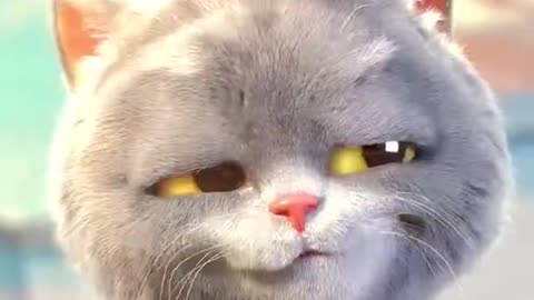 #short cute baby cat