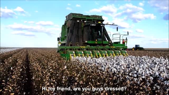 Learn Cotton Cultivation