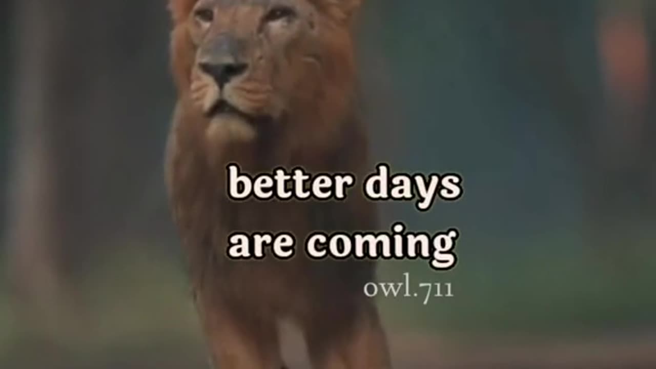 Better Days Are Coming,Be Patient | Motivational quotes