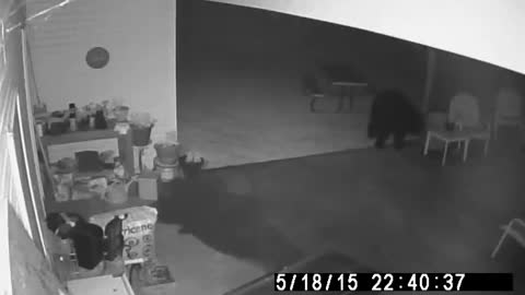 BEAR ATTACK