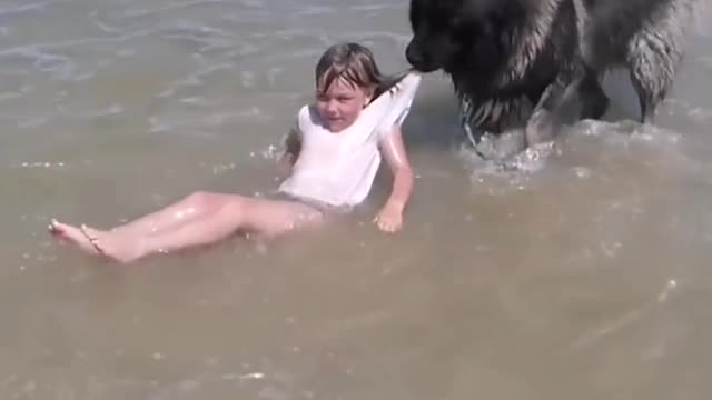 Dog saves child life