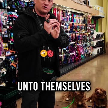 What Is Littermate Syndrome?