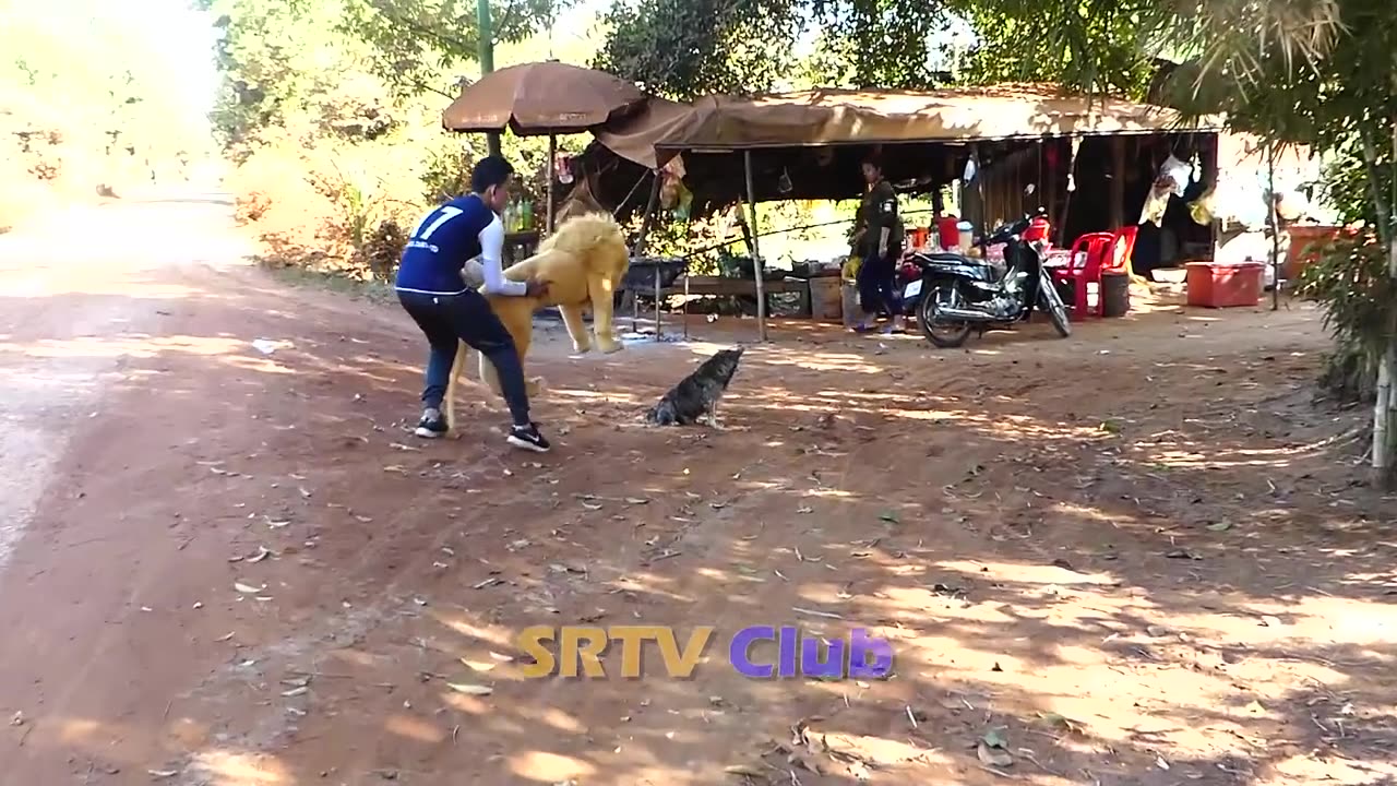 Fake Tiger Vs Dog Prank: The Ultimate Test of Laughter!