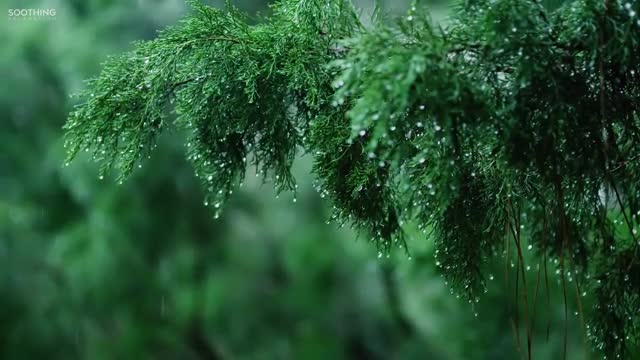 Relaxing piano music and soft rain.