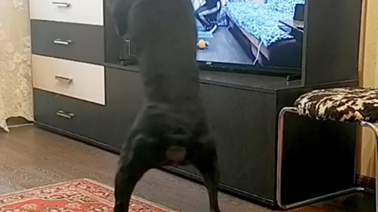 He's a Natural