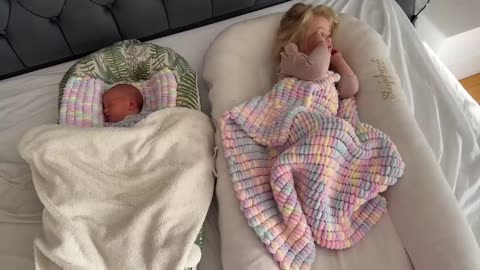 Our Morning Routine With Newborn Baby Dogs Cat And A Toddler!!
