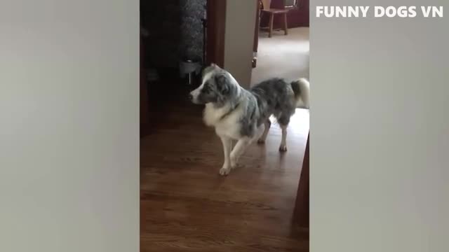 TRY NON TO LAUGH