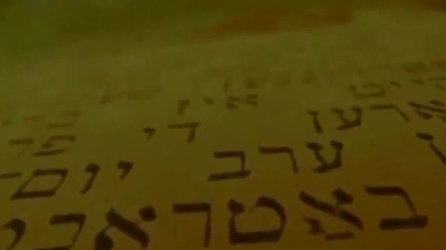 Quotes from the Talmud 😲