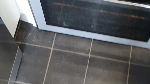 BURGER TIME