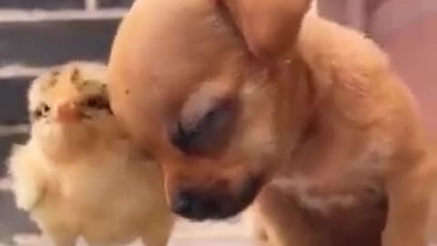 Cute 🥰