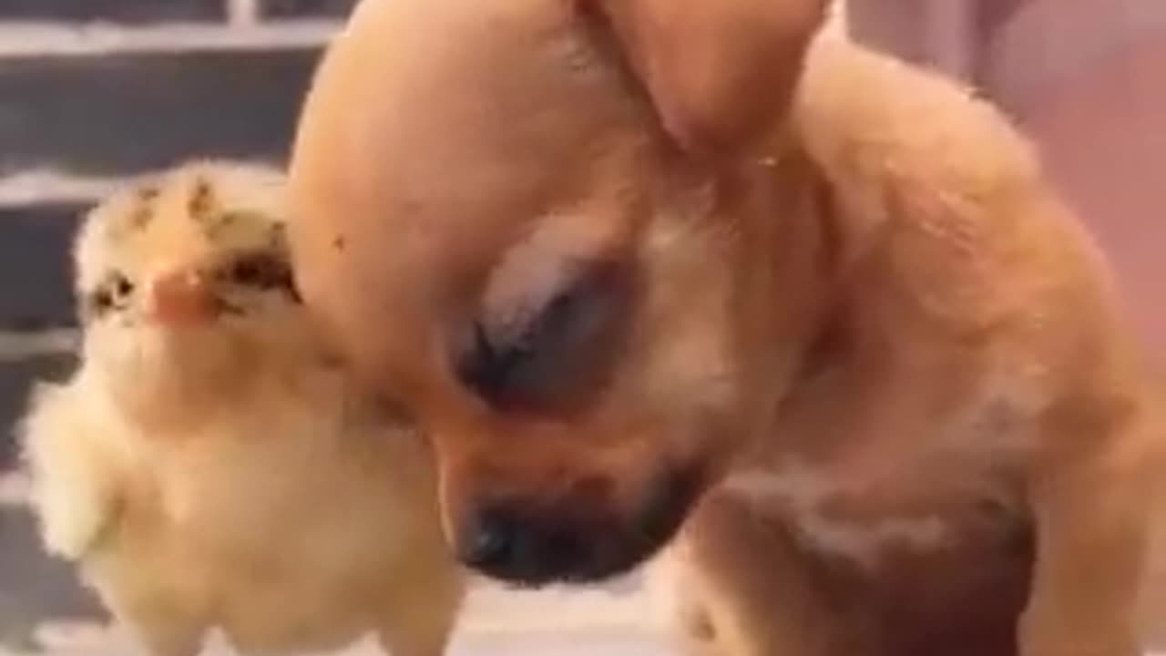 Cute 🥰
