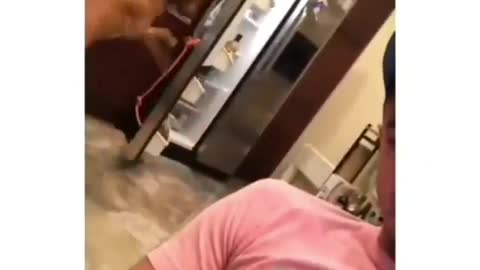 This is how you can train your dog 😍😍 (ALERT)