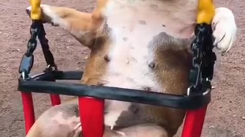 Полный кайф