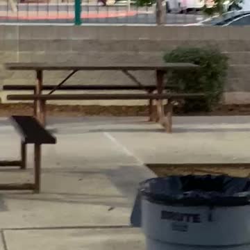 (212) 2004 International IC CE200 #S349 WCL T444E leaving HS AM