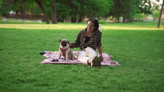Smiling girl sitting on plaid on lawn in a park whole puppy sitting in front of her, she caress him