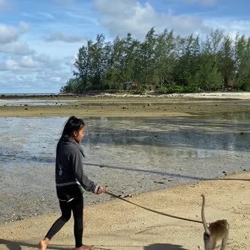 Take a monkey, like this woman