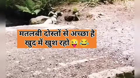 Amazing videos