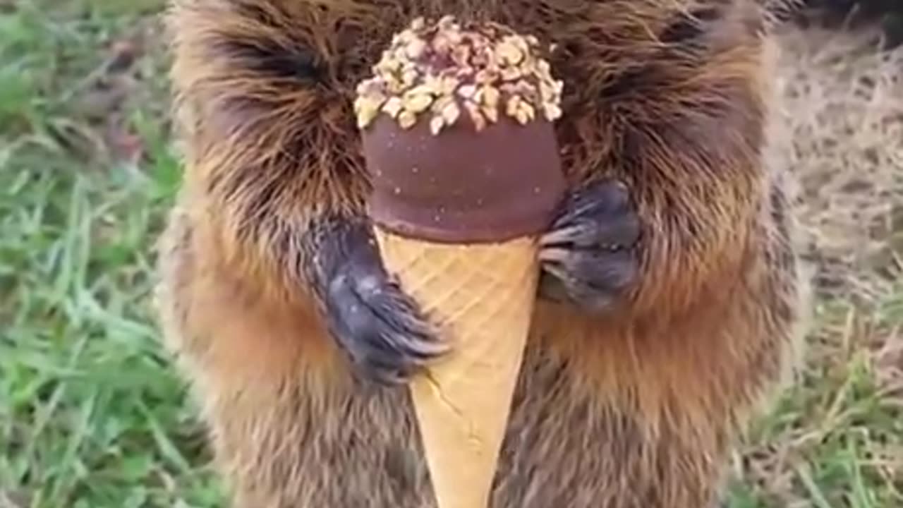 Relax--Have-an-ice-cream-Everything-will-work-out-