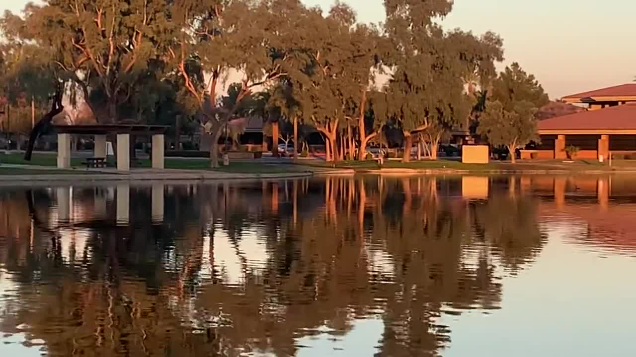 Birds and Lake in Scottsdale Arizona - Morning Ritual Sounds and Sights