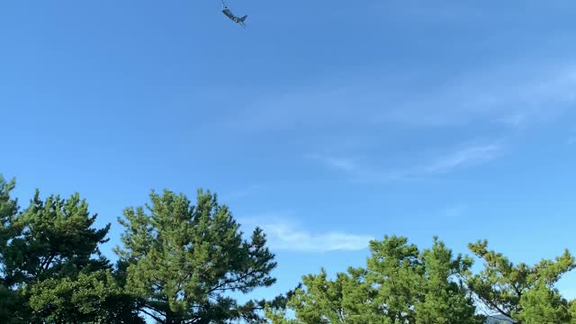 Amateur video of the plane nearly crashing
