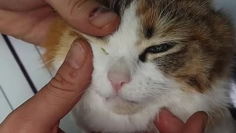 Someone's little angel 😇 all process ( Watch Now Winnig 1000$ Gift Pack )