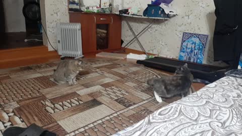 Masya is shocked by what he saw
