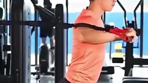 Spartan resistance bands