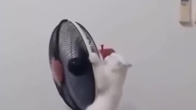 I don't recommend that they play this way, because I will be jealous, arrange