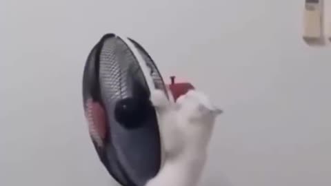 I don't recommend that they play this way, because I will be jealous, arrange