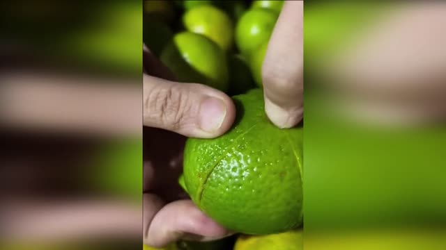 CITRUS KNIFE