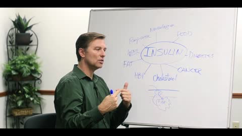 DrBerg-Insulin Is The Cause Of Most Major Illnesses
