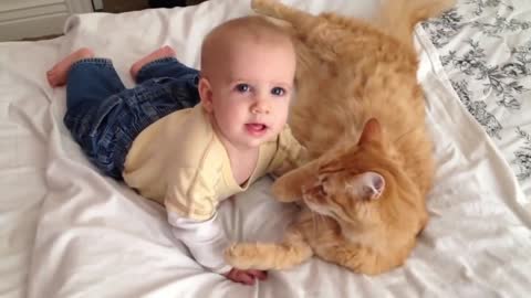 Cats Meet Babies