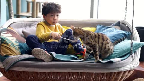 Cat enjoy the little Boy