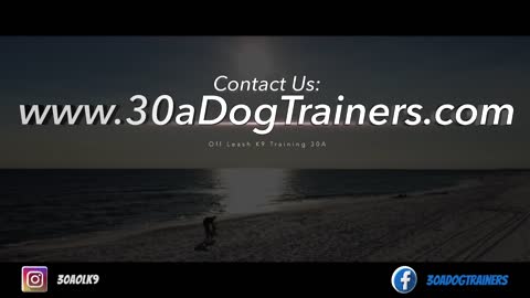 Best Dog Training I Have Ever Seen. Must watch Celebrity Dog Training.