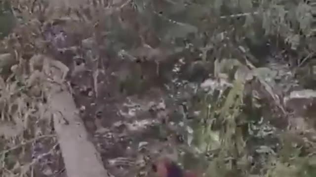Where did that come from?
