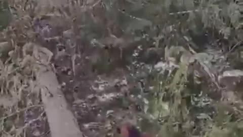 Where did that come from?