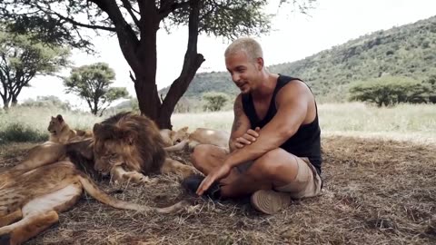 Part of the Lion Pride - Dean Schneider living with lions