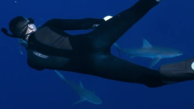 Man searching fish 🐟 🐠 in under water