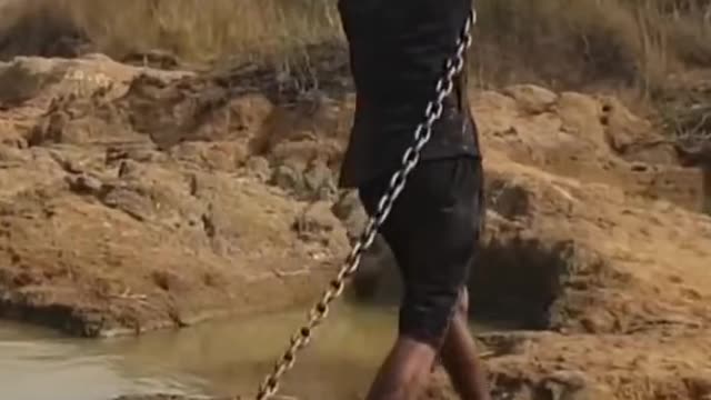 Fishing Technique River Side Hole | Fishing with A Chicken?