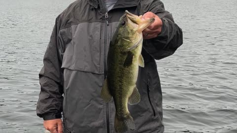 Fishing And Hunting 2019 From JCJ Bass Fishing