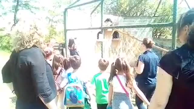 a teacher and children in the zoo see an eagle