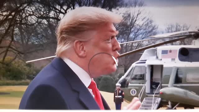 I Did It My Way - Trump