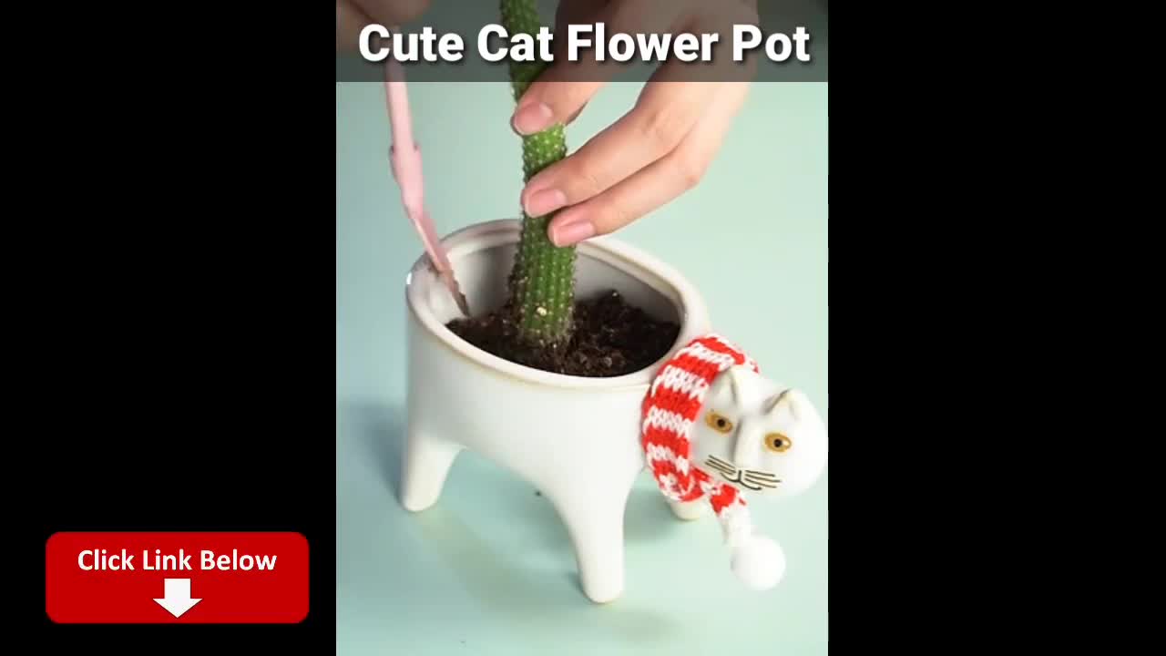 Cats talk better than human Part 3