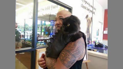 15 Cats With Dragon Hair Cuts Looking So Dangerous