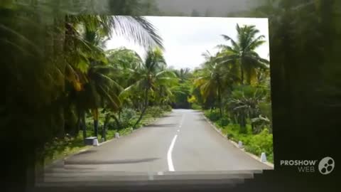 Allo Car Rental - Mauritius car rental