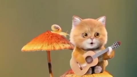 Cat 🐱 Is Playing Guitar & Singing A song On Her way 😍❤️