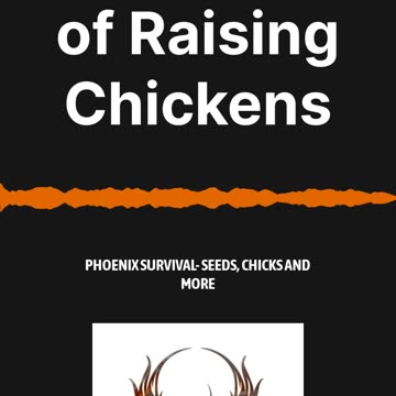The Realities of Raising Chickens w/ Phoenix Survival