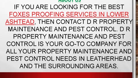 Best Foxes Proofing Services in Lower Ashtead