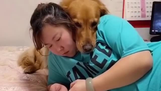 Cat and dog funny moments cat and dog cute movement cute cat and