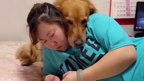 Cat and dog funny moments cat and dog cute movement cute cat and